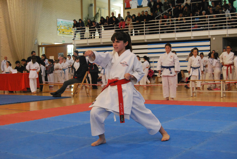 Pr&oacute;ximo entrenamiento infantil de kata y kumite (11 de marzo)